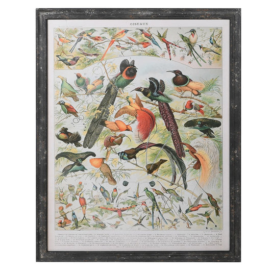 THE BIRDS  PICTURE FRAME